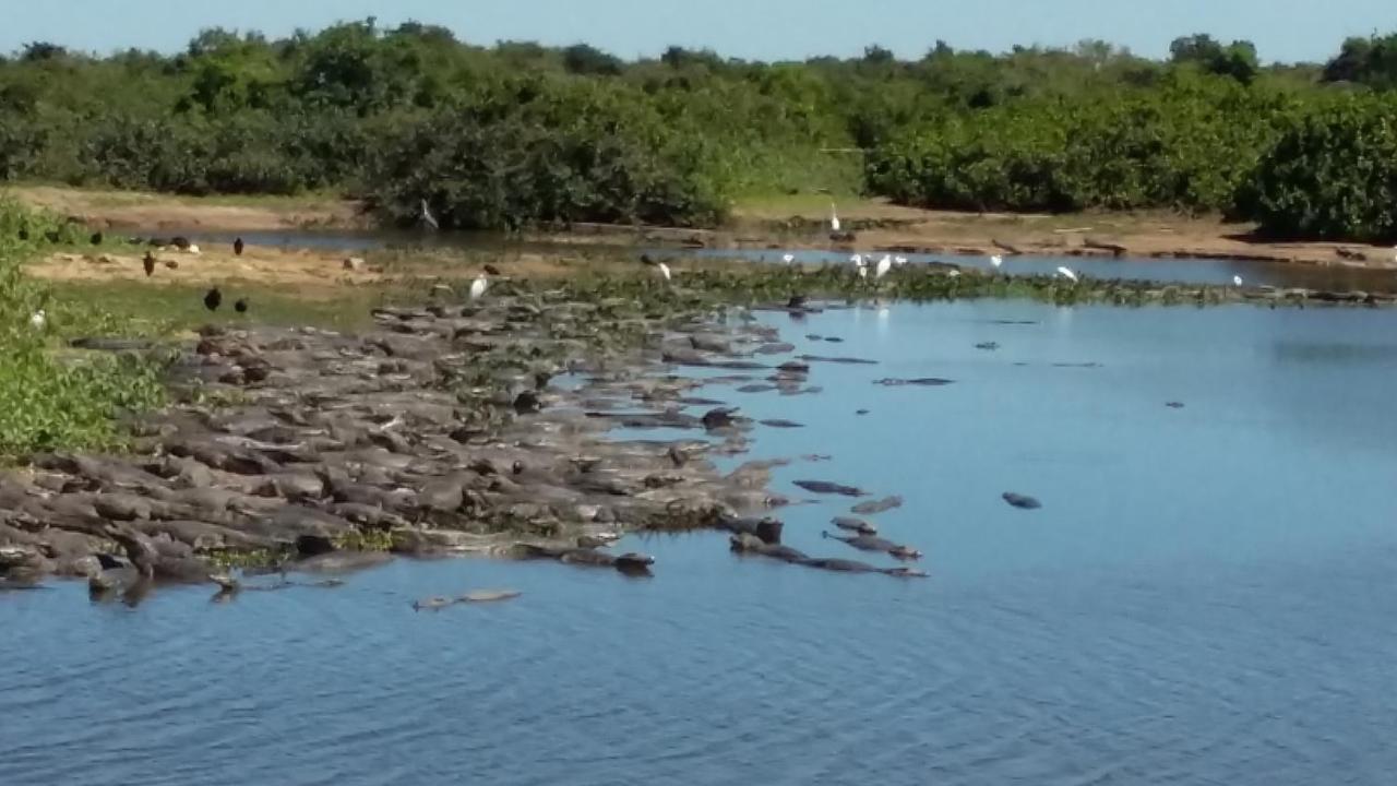 Hotel Pousada And Safari Cuiaba  Bagian luar foto